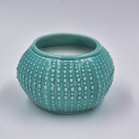 Candle Kina/Sea Urchin